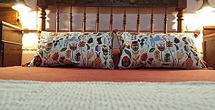 Ca Les Senyoretes 003