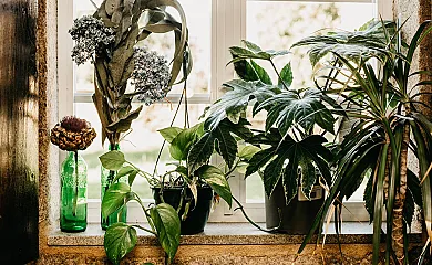 Casa do Cuco en Friol (Lugo) - Foto 12