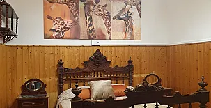 Casa de Campo El Señorito 0014