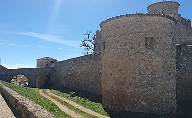 Los Girasoles en Almenar De Soria (Soria) - Foto 13
