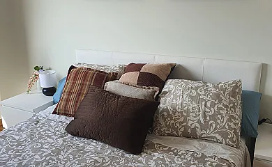 Los Girasoles en Almenar De Soria (Soria) - Foto 5