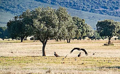 Alojamientos el Chorro en Navalucillos (Toledo) - Foto 6