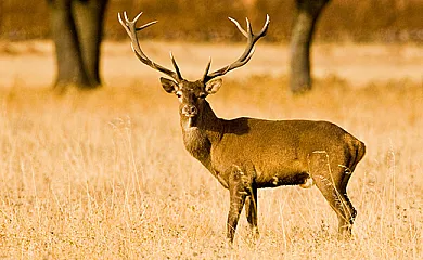 Alojamientos el Chorro en Navalucillos (Toledo) - Foto 7