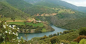 Alojamientos el Chorro 002