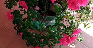 La Casa Mágica de Gredos 0060