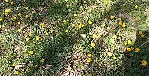 La Casa Mágica de Gredos 0062