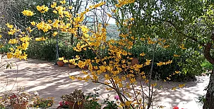 La Casa Mágica de Gredos 0063