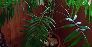 La Casa Mágica de Gredos 0066