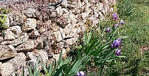 La Casa Mágica de Gredos 0067