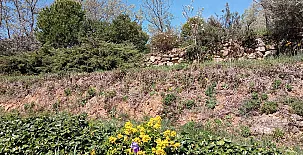 La Casa Mágica de Gredos 0070