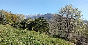 La Casa Mágica de Gredos 0071