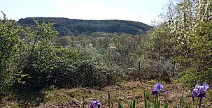 La Casa Mágica de Gredos 0073