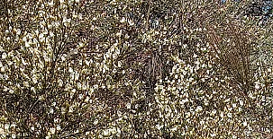 La Casa Mágica de Gredos 0074