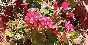 La Casa Mágica de Gredos 0078