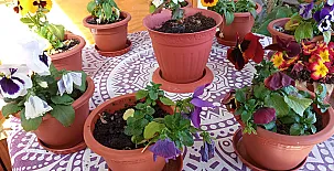 La Casa Mágica de Gredos 0081