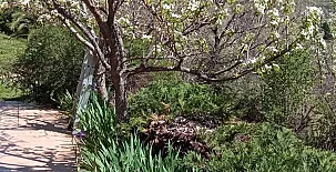 La Casa Mágica de Gredos 0084