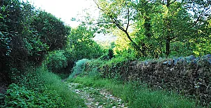 Camino del Castaño 006