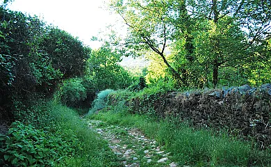 Camino del Castaño en Galaroza (Huelva) - Foto 6
