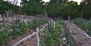 Camino del Castaño 008