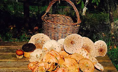 Camino del Castaño en Galaroza (Huelva) - Foto 15