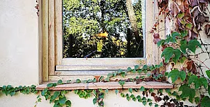 Camino del Castaño 0016