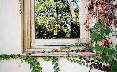 Camino del Castaño en Galaroza (Huelva) - Foto 16