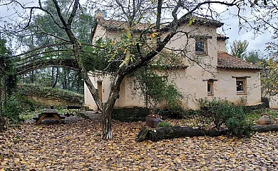 Camino del Castaño en Galaroza (Huelva) - Foto 18
