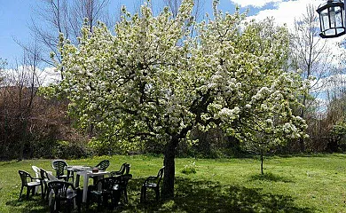 Posada Cierzo y Sabina en Tosos (Zaragoza) - Foto 10