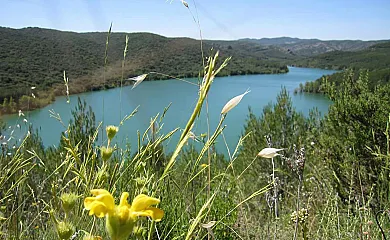 Posada Cierzo y Sabina en Tosos (Zaragoza) - Foto 12