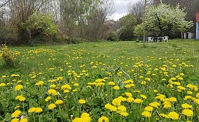 Posada Cierzo y Sabina en Tosos (Zaragoza) - Foto 13