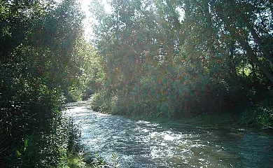 Posada Cierzo y Sabina en Tosos (Zaragoza) - Foto 15