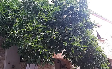 Felicity house. Casa del Sol en Valdeverdeja (Toledo) - Foto 11