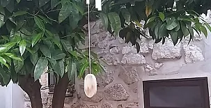 Felicity house. Casa del Sol 0014