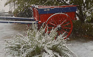 Cortijo El Canjilón en Montefrio (Granada) - Foto 21