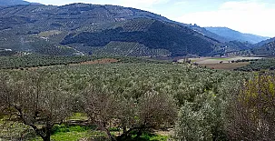 Cortijo El Canjilón 0027