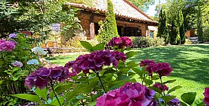 El Castañar de Aracena 0010