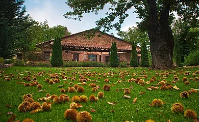 El Castañar de Aracena en Aracena (Huelva) - Foto 8