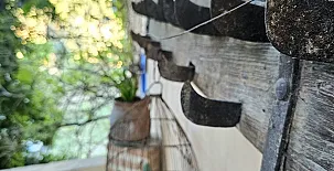 Finca Josentonio 0019