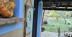 Finca Josentonio 0020