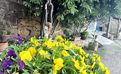 Finca Josentonio en Valderrobres (Teruel) - Foto 16