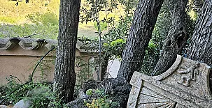 Finca Josentonio 006