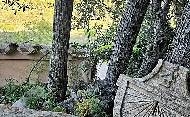 Finca Josentonio en Valderrobres (Teruel) - Foto 6