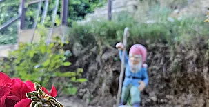 Finca Josentonio 005