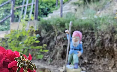 Finca Josentonio en Valderrobres (Teruel) - Foto 5