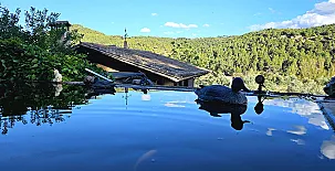 Finca Josentonio 0043