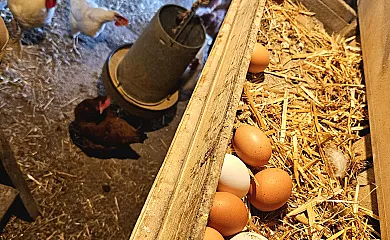 Finca Josentonio en Valderrobres (Teruel) - Foto 24