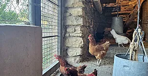 Finca Josentonio 0023