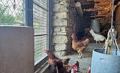 Finca Josentonio en Valderrobres (Teruel) - Foto 23