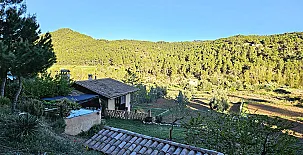 Finca Josentonio 0050