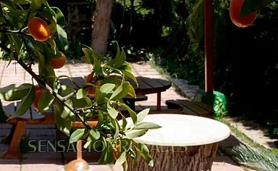 La Casa del Lago en Anna (Valencia) - Foto 4